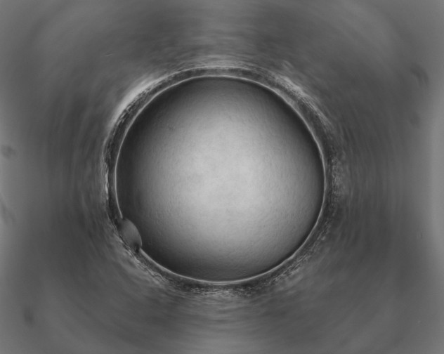 X0000090911408200708061514