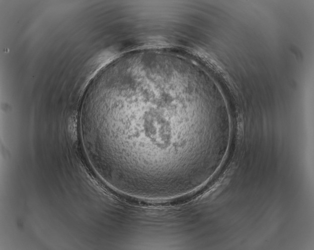 X0000090911409200708061514