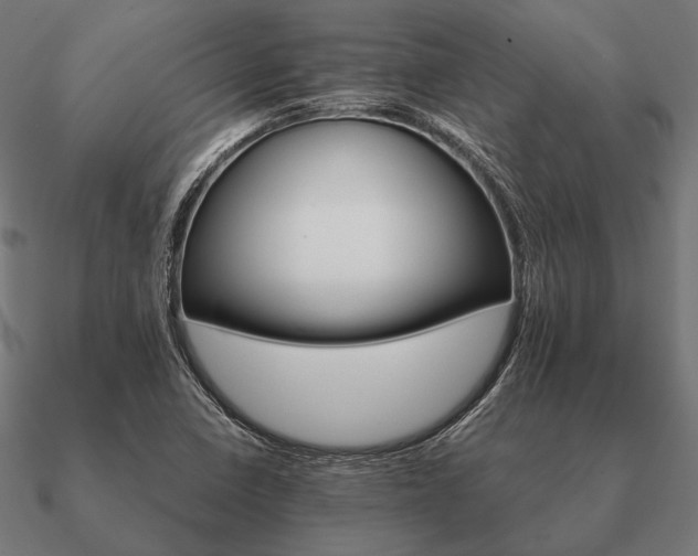 X0000090911410200708061514