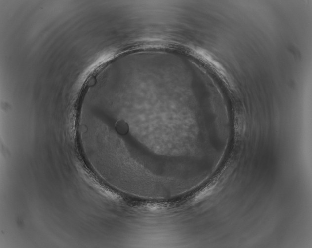 X0000090911411200708061514