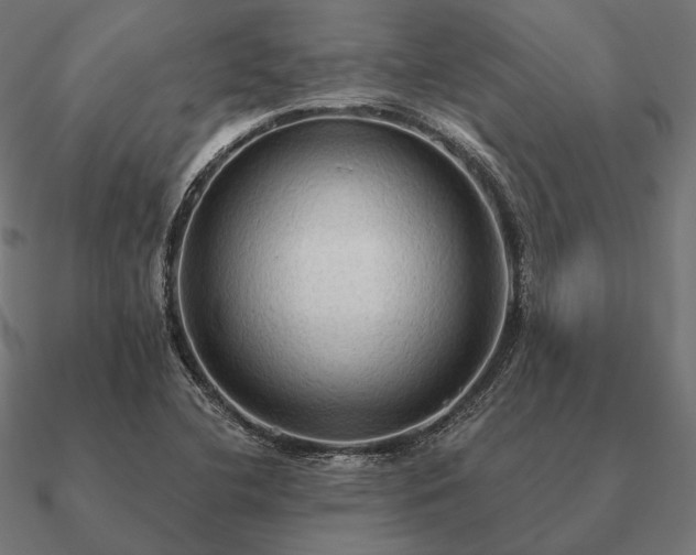 X0000090911412200708061514