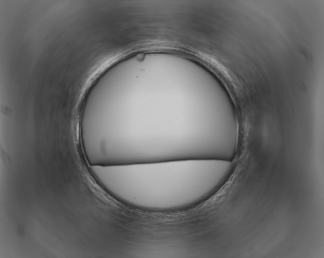 X0000090911413200708061514