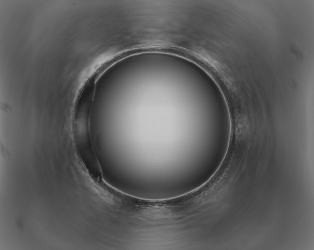 X0000090911414200708061514