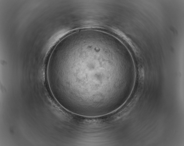 X0000090911415200708061514