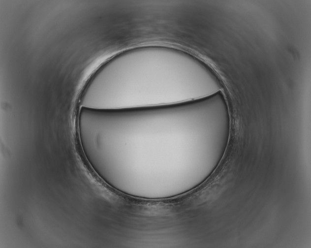 X0000090911416200708061514