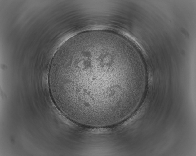 X0000090911417200708061514