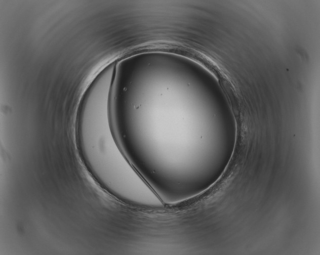 X0000090911418200708061514