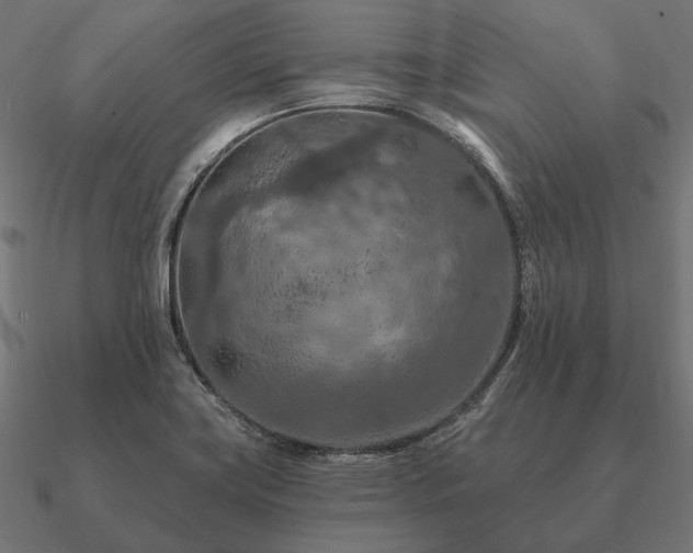 X0000090911419200708061514