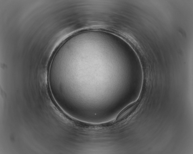 X0000090911420200708061514