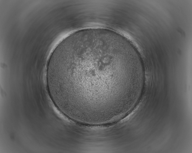 X0000090911421200708061514