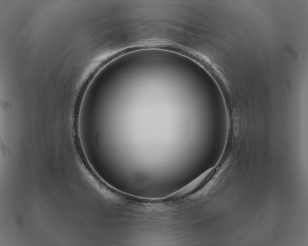 X0000090911422200708061514