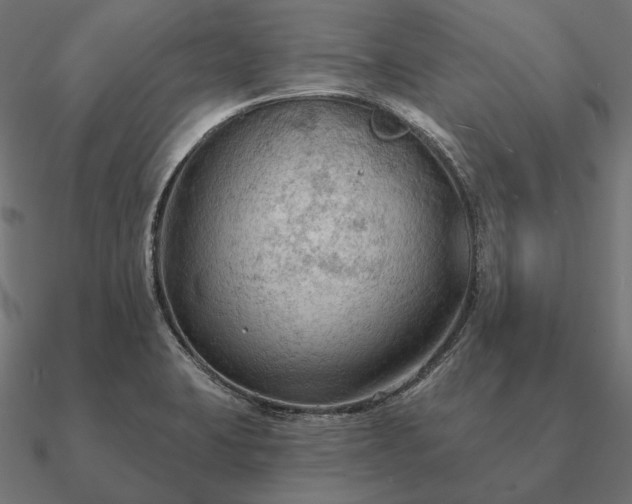 X0000090911423200708061514