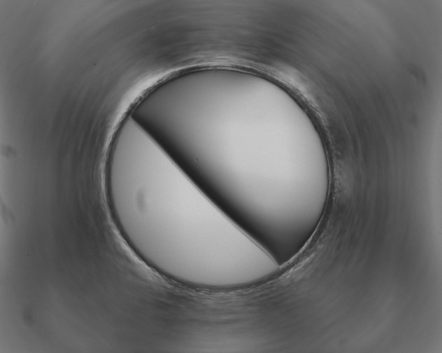 X0000090911424200708061514