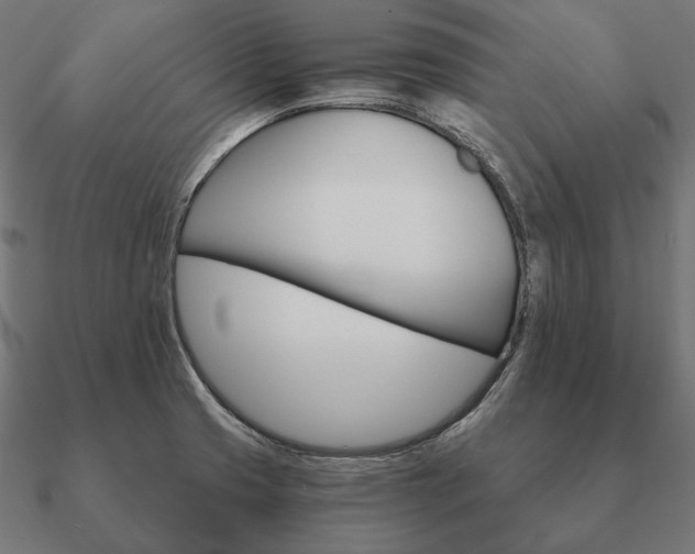 X0000090911425200708061514