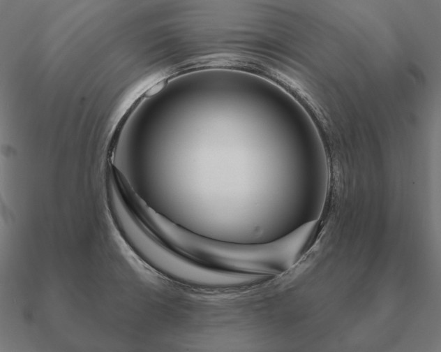 X0000090911426200708061514