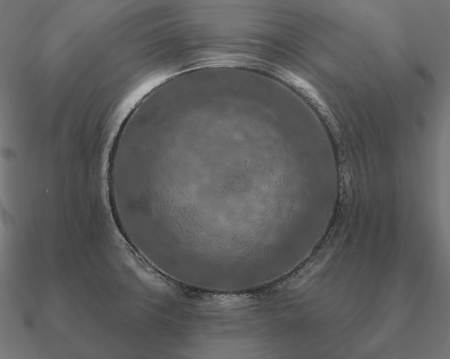 X0000090911427200708061514