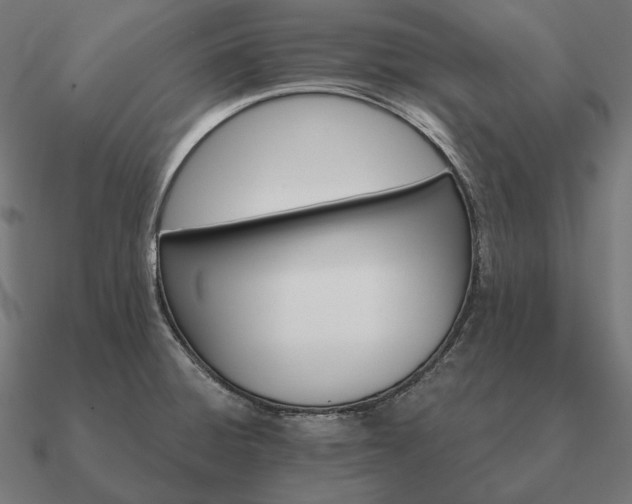 X0000090911428200708061514