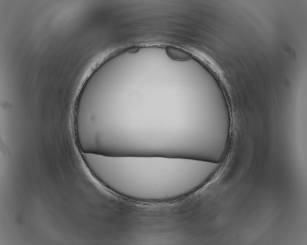 X0000090911429200708061514