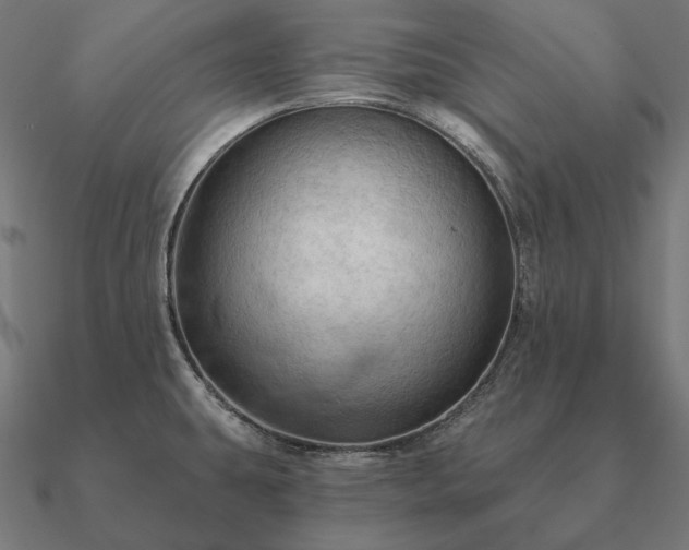 X0000090911431200708061514