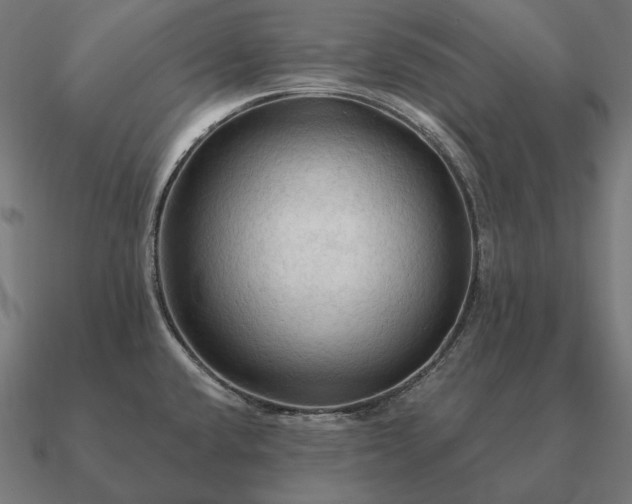 X0000090911432200708061514