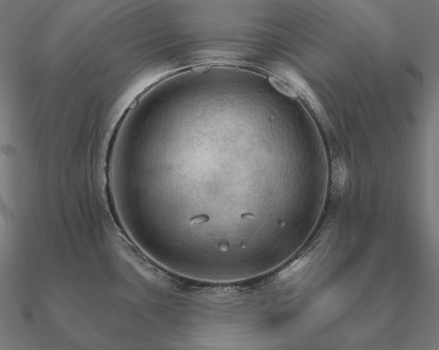 X0000090911435200708061514