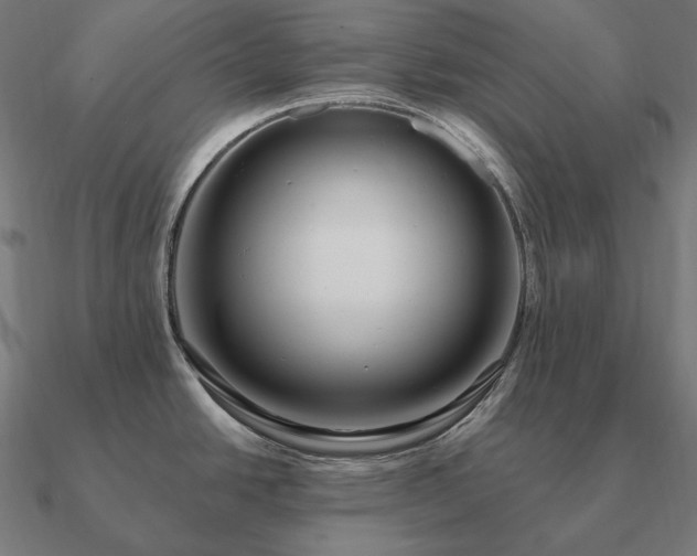 X0000090911438200708061514