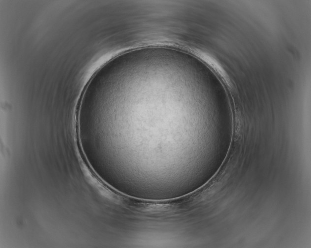 X0000090911439200708061514