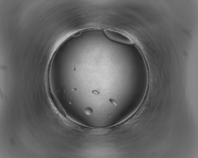 X0000090911440200708061514