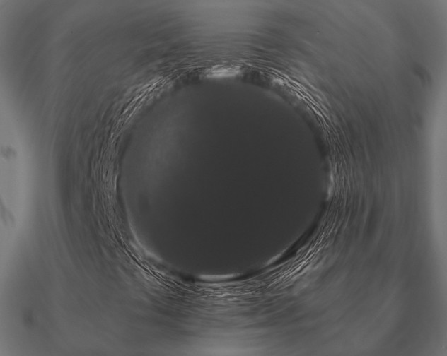 X0000090911441200708061514