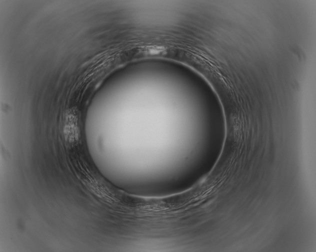 X0000090911442200708061514