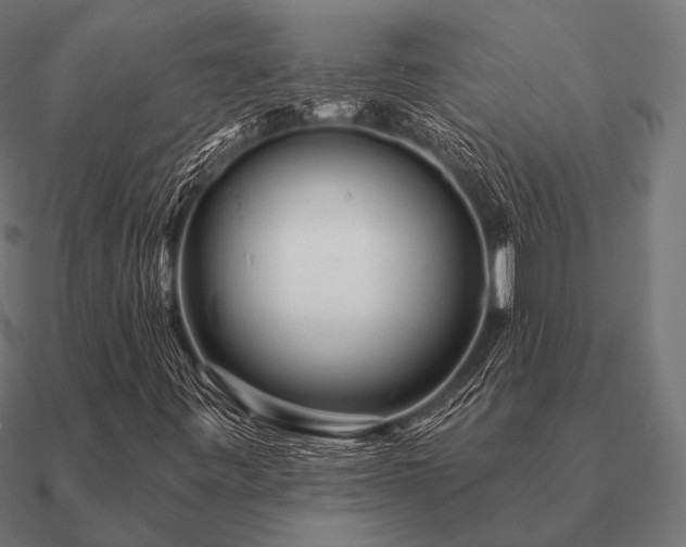 X0000090911443200708061514