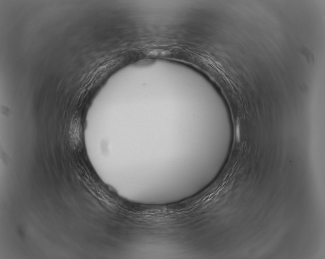 X0000090911444200708061514