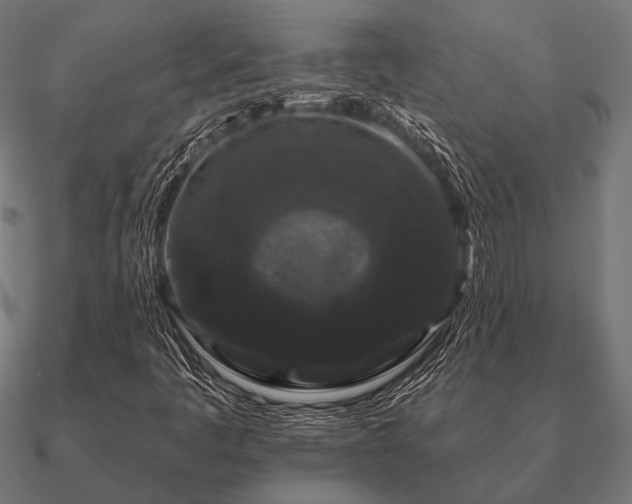 X0000090911445200708061514