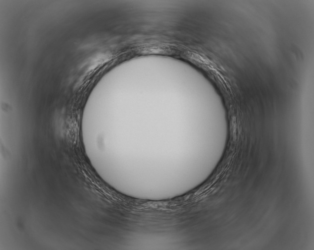 X0000090911446200708061514