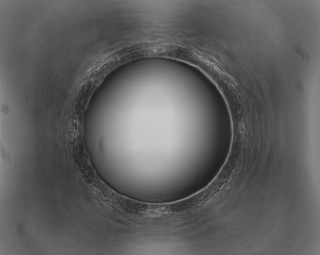 X0000090911447200708061514