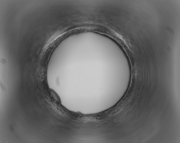 X0000090911448200708061514