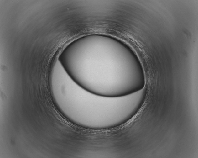 X0000090911449200708061513