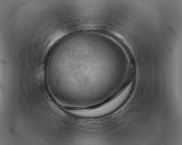 X0000090911450200708061513