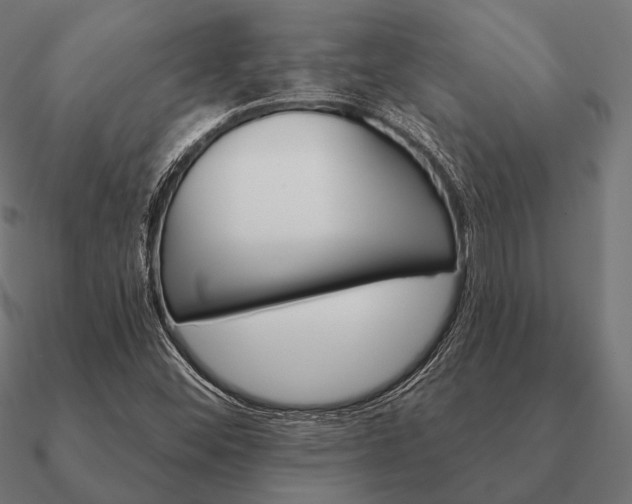 X0000090911452200708061513