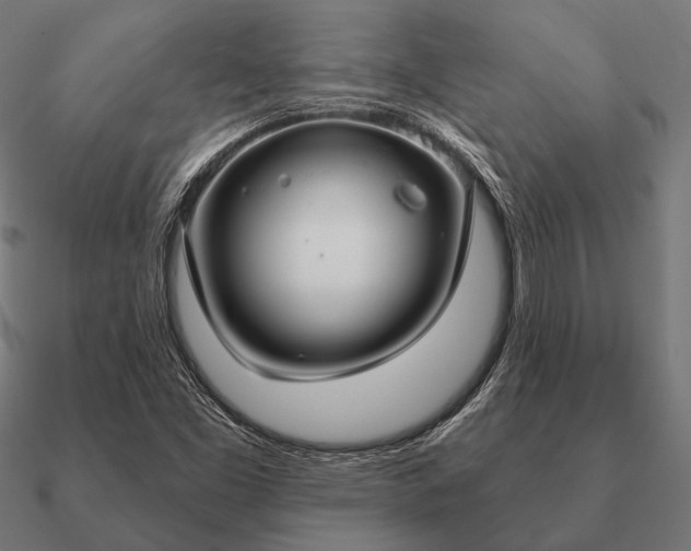 X0000090911453200708061513