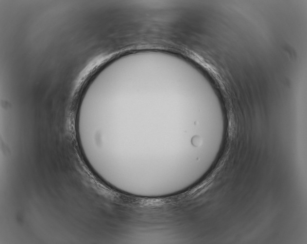 X0000090911454200708061513