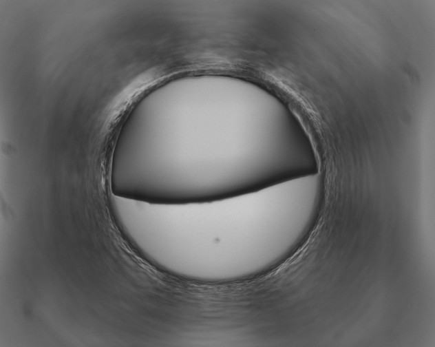 X0000090911455200708061513