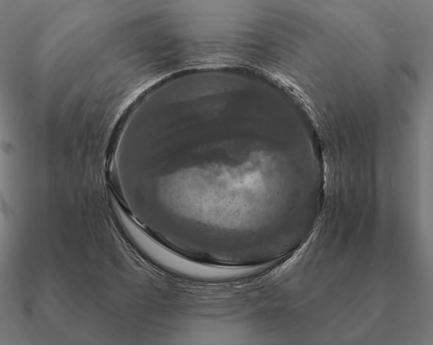 X0000090911457200708061513