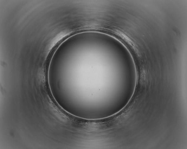 X0000090911458200708061513