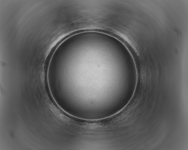 X0000090911460200708061513