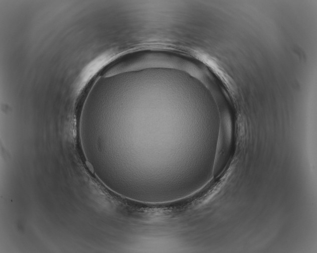 X0000090911461200708061513