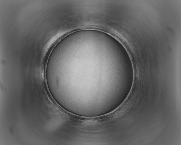 X0000090911462200708061513