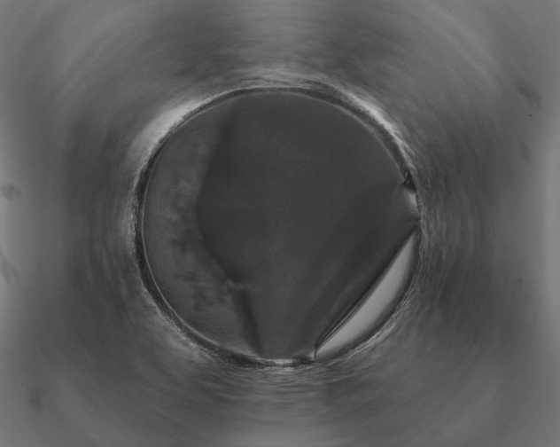 X0000090911463200708061513