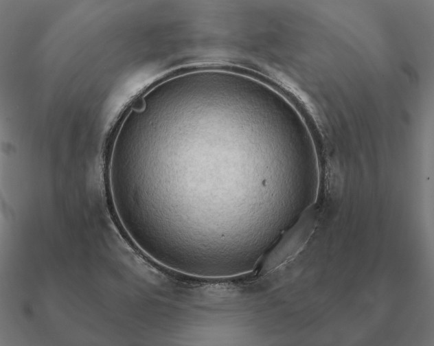 X0000090911464200708061513