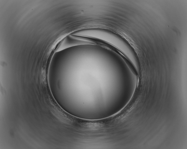 X0000090911465200708061513